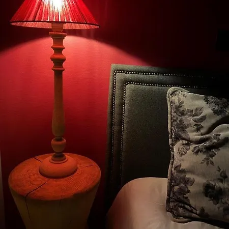 Gezellige Zonnige, Goed Gelegen Met Tuin