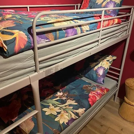 Gezellige Zonnige, Goed Gelegen Met Tuin アパート *