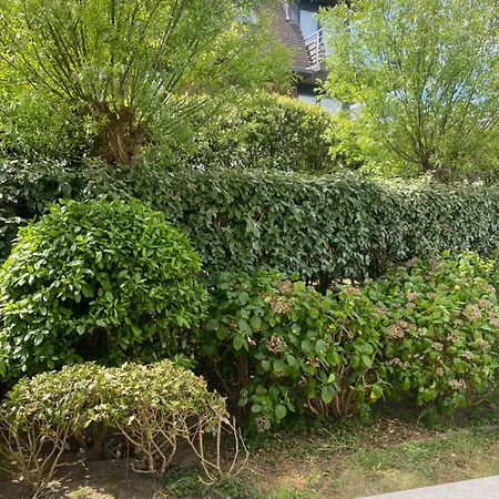 Gezellige Zonnige, Goed Gelegen Met Tuin Daire *